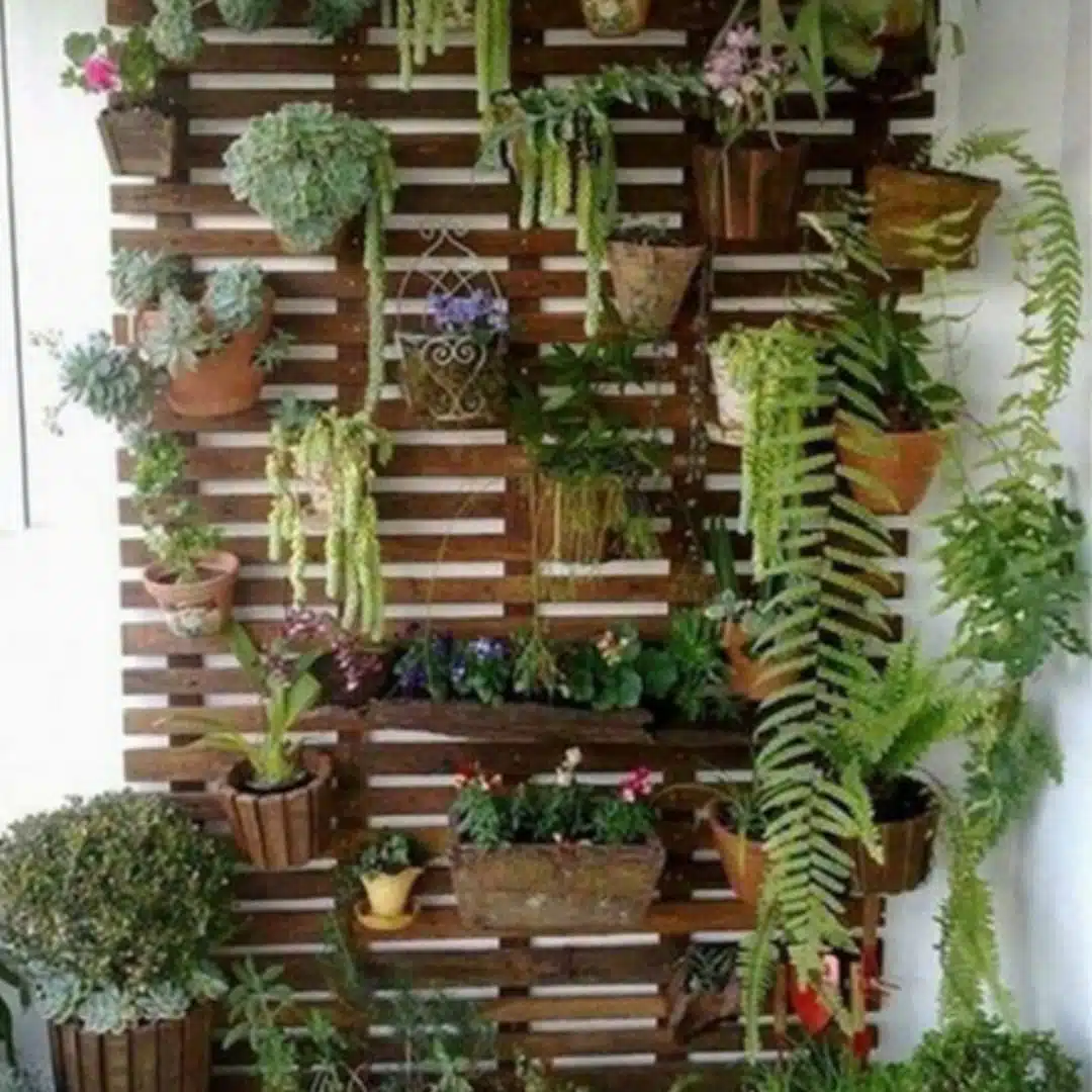 Decoracion con plantas